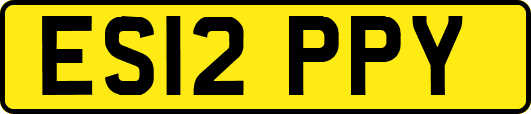 ES12PPY