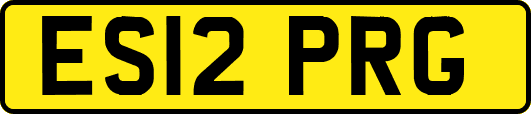 ES12PRG