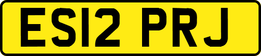 ES12PRJ
