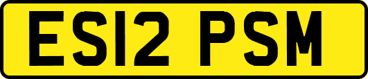 ES12PSM