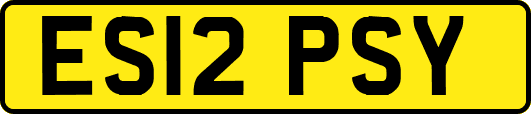 ES12PSY