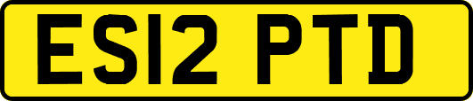 ES12PTD
