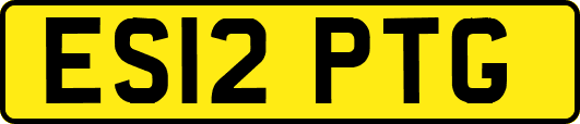 ES12PTG