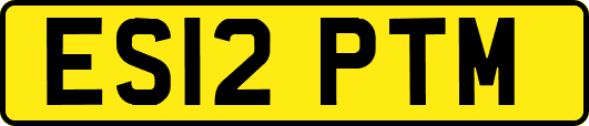 ES12PTM
