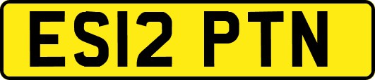 ES12PTN