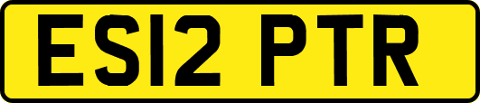 ES12PTR