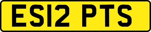 ES12PTS