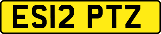ES12PTZ