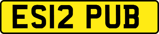 ES12PUB