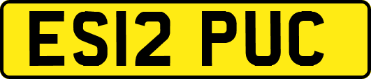 ES12PUC