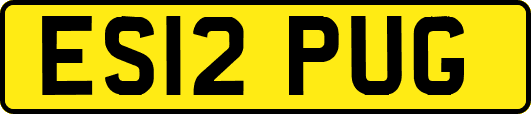 ES12PUG