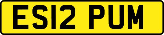 ES12PUM