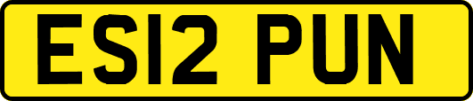 ES12PUN