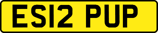 ES12PUP