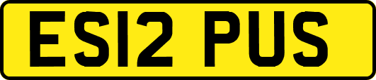 ES12PUS