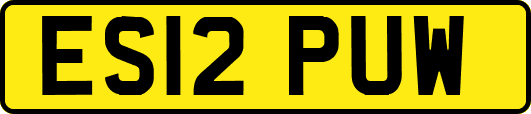 ES12PUW