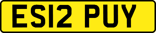 ES12PUY