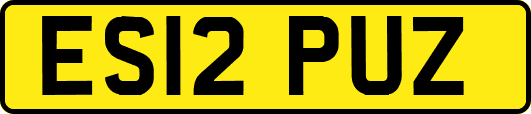 ES12PUZ