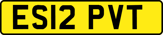 ES12PVT