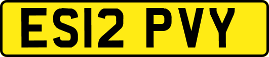 ES12PVY