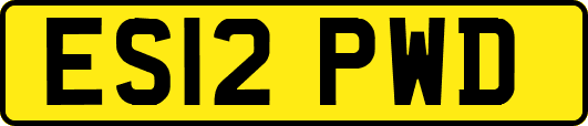 ES12PWD