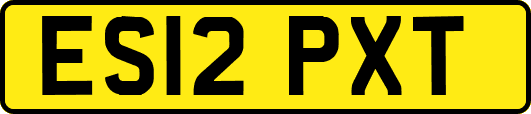 ES12PXT