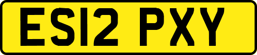 ES12PXY