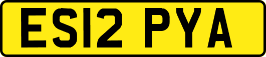 ES12PYA