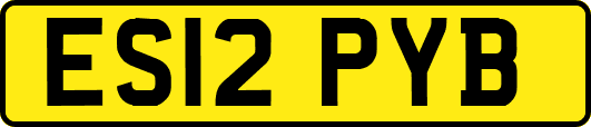 ES12PYB