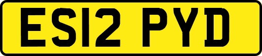 ES12PYD