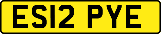 ES12PYE