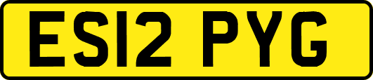 ES12PYG