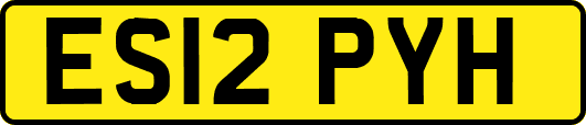 ES12PYH