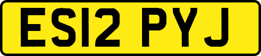 ES12PYJ