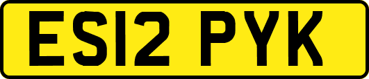 ES12PYK