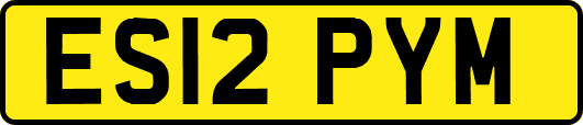 ES12PYM