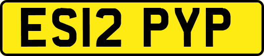 ES12PYP
