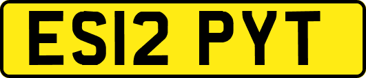 ES12PYT