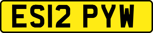 ES12PYW