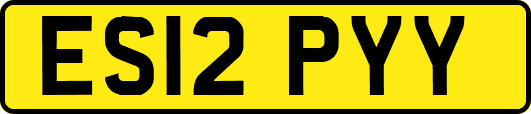 ES12PYY