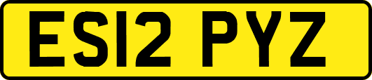 ES12PYZ