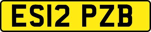 ES12PZB