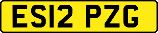 ES12PZG