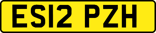 ES12PZH