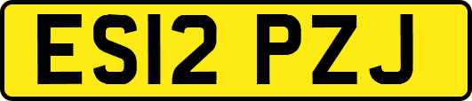 ES12PZJ