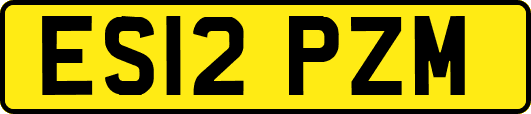 ES12PZM