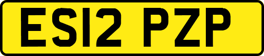 ES12PZP