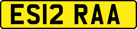 ES12RAA