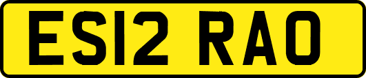 ES12RAO