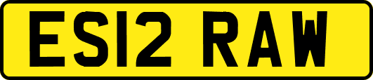 ES12RAW